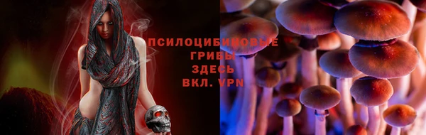 бошки Абдулино