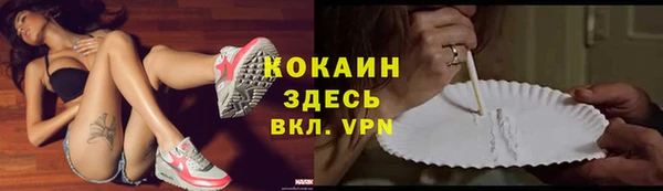 шишки Абинск