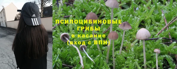 бошки Абдулино