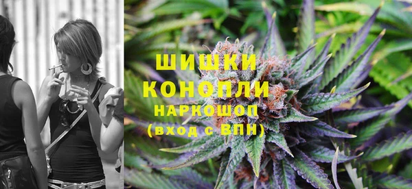 шишки Абинск