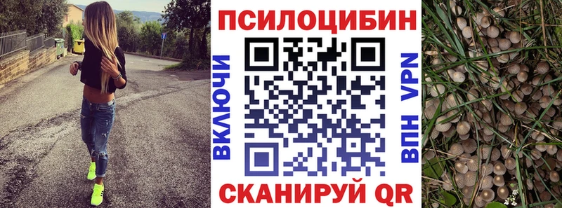 Псилоцибиновые грибы мицелий  omg вход  Усть-Катав 